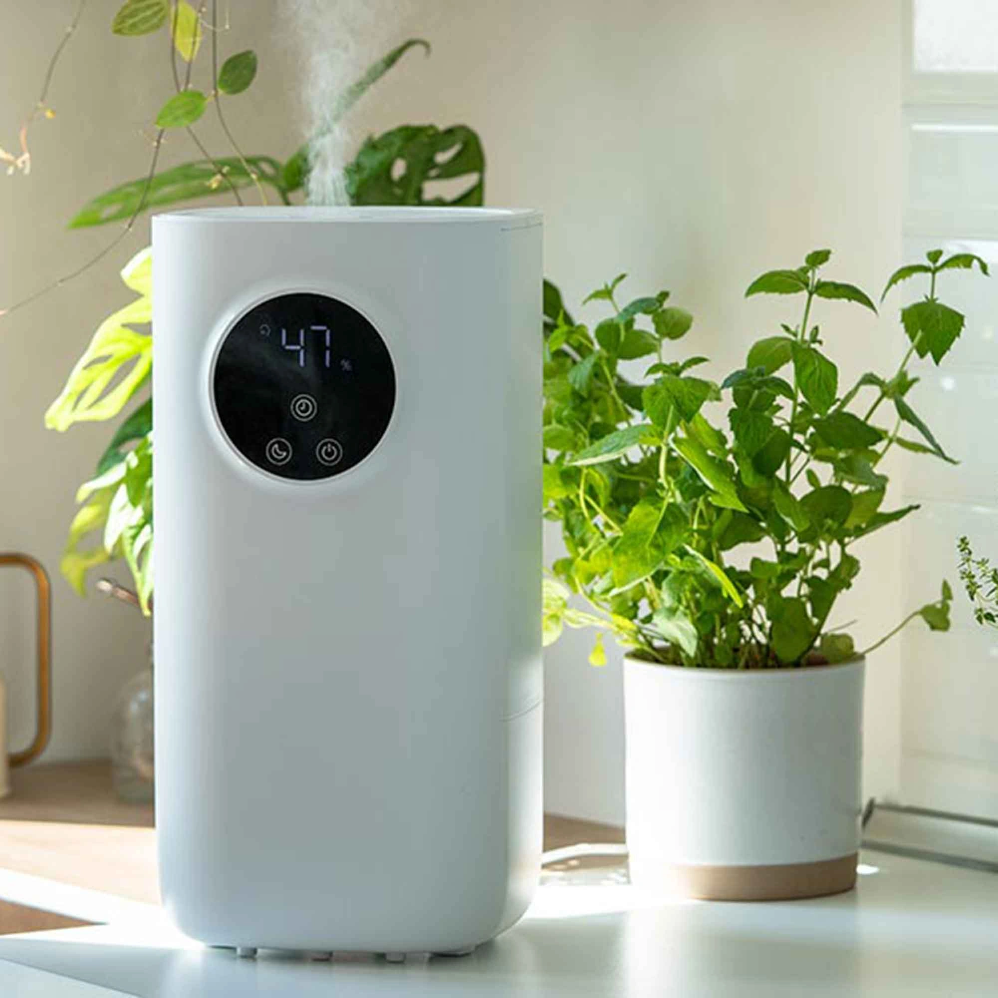 A collection of top air purifiers displayed in a modern home setting, ideal for e-commerce showcasing product 3D rendering